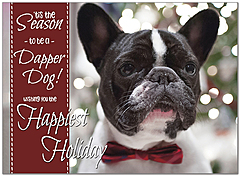 Dapper Dog Holiday Card D9193U-A
